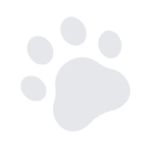 paw-image